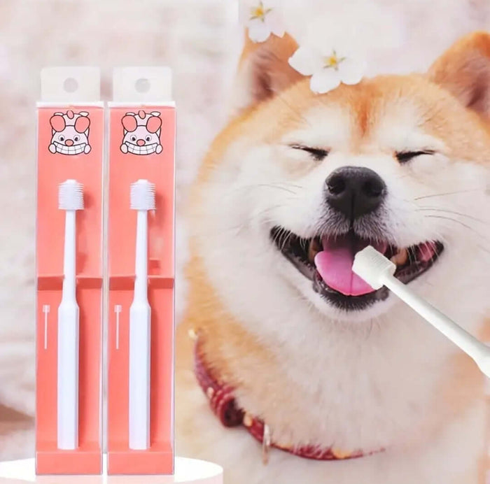 Dog Toothbrush - Round head