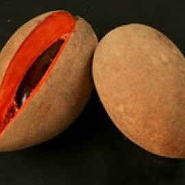 Mamey fruit
