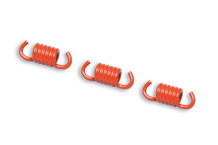 Malossi Delta/Fly springs - ScooterSwapShop
