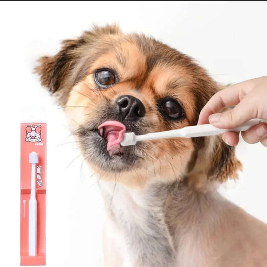 Dog Toothbrush - Round head