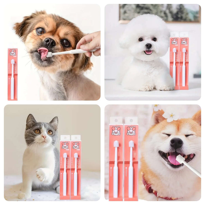 Round 360 head pet toothbrush