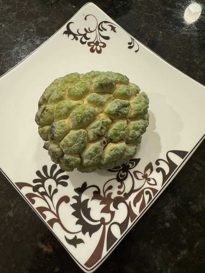 Harvested Sugar Apple fruit on a patterned plate