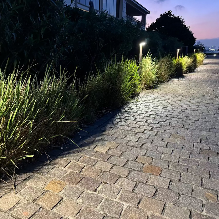 Dwarf Fakahatchee Ornamental Grass Paved pathway lined with grass and small lights at dusk