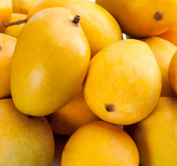 A close-up view of a cluster of ripe, bright yellow and orange Alphonso mangos