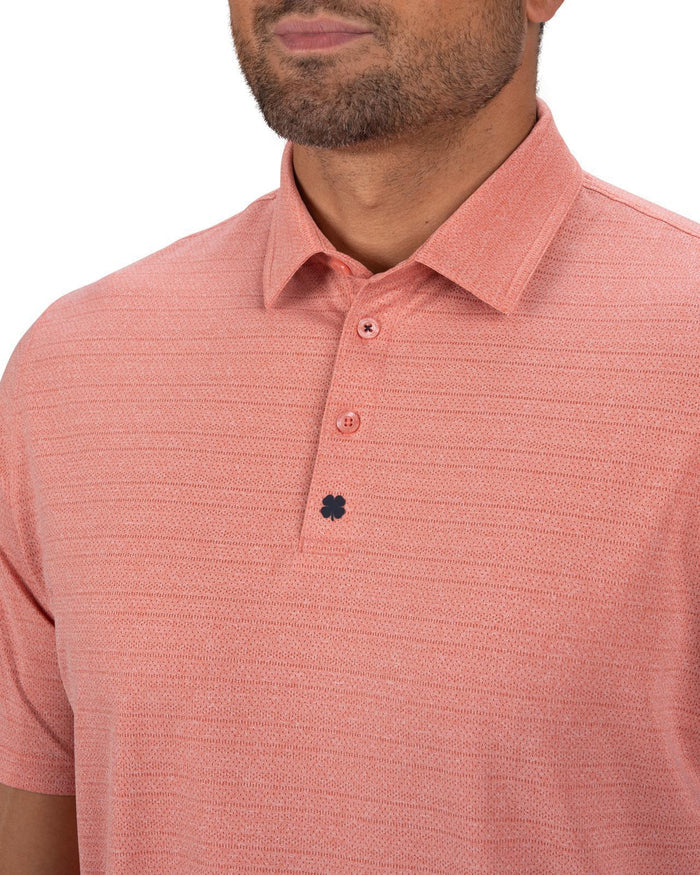 Beau Polo