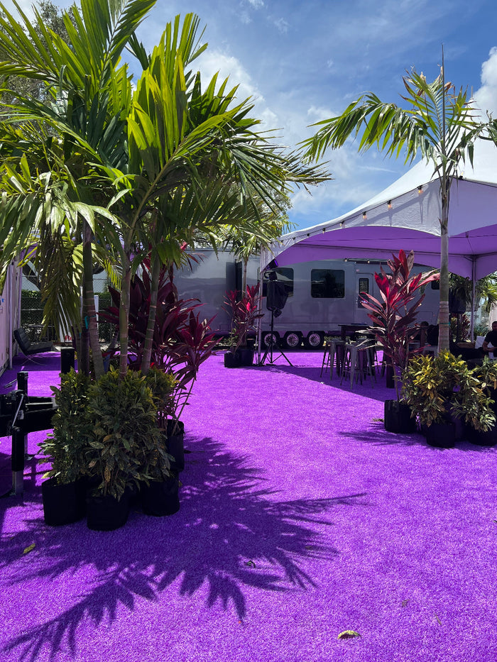 Several potted single-trunk Christmas Palms (Adonidia merrillii) decorating a vibrant outdoor event space
