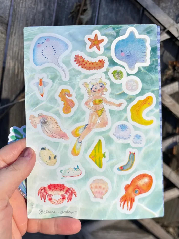 Claire Saloff-Coste - Dream Tide Stationary