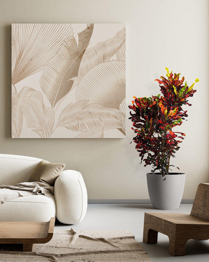 A potted Croton Mammy plant with vibrant red, yellow, and green spiraling leaves, styled in a warm, modern interior space featuring a textured white sofa