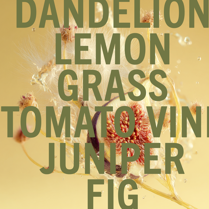 Dandelion Fig Fragrance 3.4oz