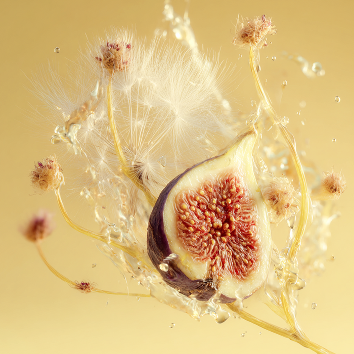 Dandelion Fig Fragrance 3.4oz