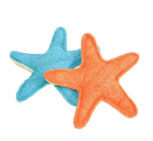 Dental Starfish Chew - Loofah - Large