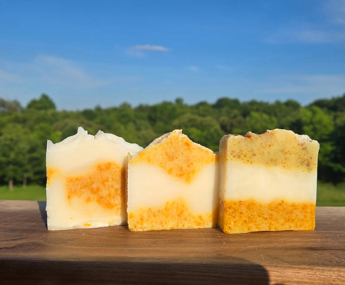 Dish Soap Bar