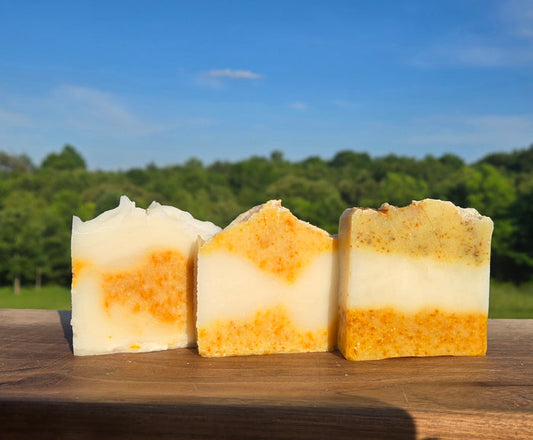 Dish Soap Bar