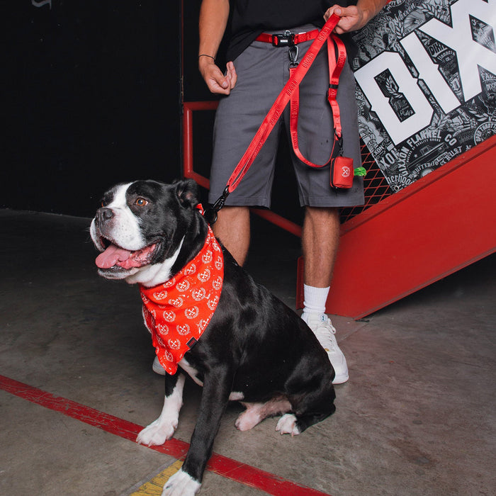 Dixxon Dog Leash - Red