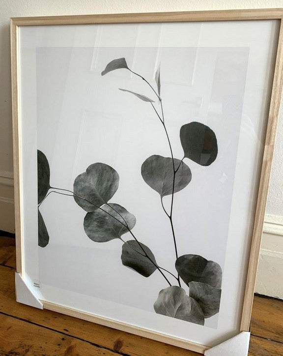 Framed Print | Eucalyptus Branch in Oak Frame 2