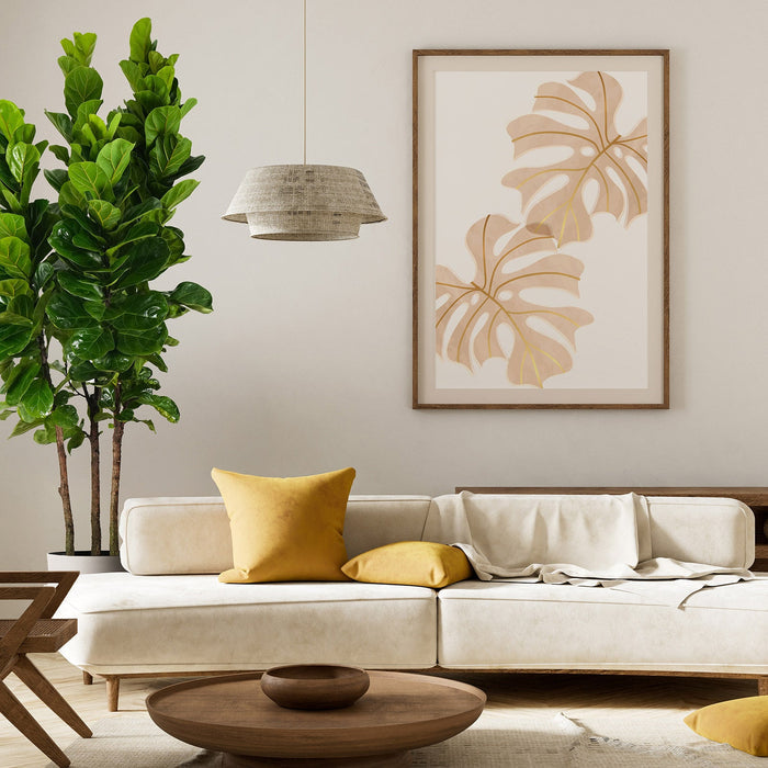 Ficus Bambino in a white deco pot inside living room