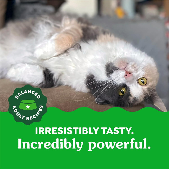 GREENIES Feline Cat Treats Natural Dental Care, Oven Roasted Chicken Flavour, 9.75oz. Tub
