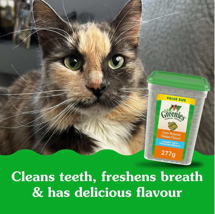 GREENIES Feline Cat Treats Natural Dental Care, Oven Roasted Chicken Flavour, 9.75oz. Tub