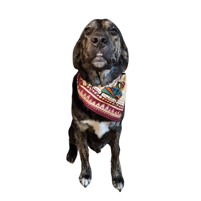 African Dog Bandana