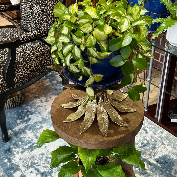 A two-tiered wooden plant stand indoors over a patterned rug, displaying a variegated Hoya carnosa Tricolor in a dark blue pot