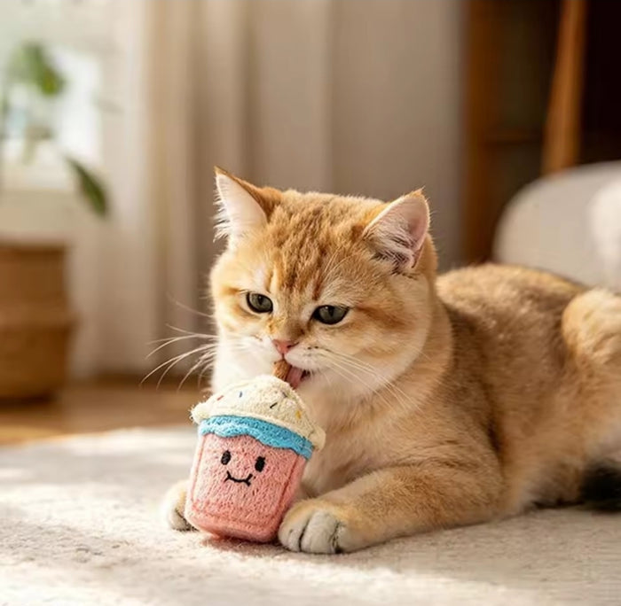 Icecream Loofah Dental Chew - Cats