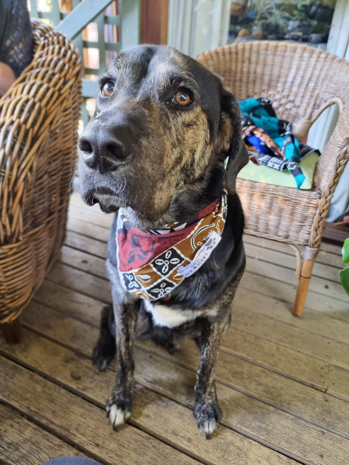 African Dog Bandana