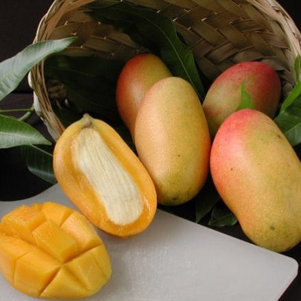 Mangoes with a cut open one on a white surface with a dark background