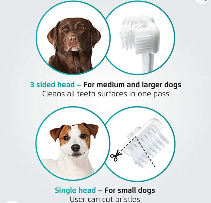 Mirapet Ultrasound Bundle