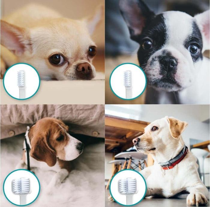 Mirapet Ultrasound Bundle