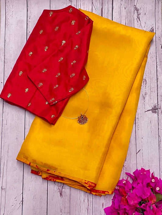 Mishrita organza saree with kanchi silk pallu