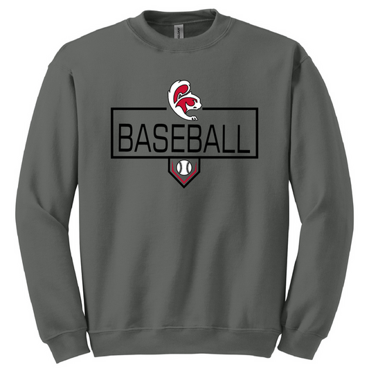 NEW CC Baseball Sweatshirts