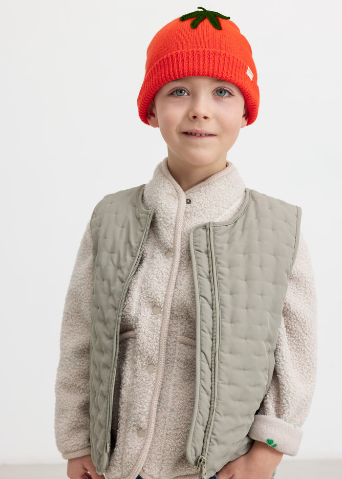 Child wearing a green quilted vest, teddy bear shirt, and red knitted hat.