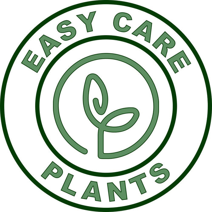 A circular green and white badge that reads 'EASY CARE PLANTS' featuring a stylized leaf icon in the center