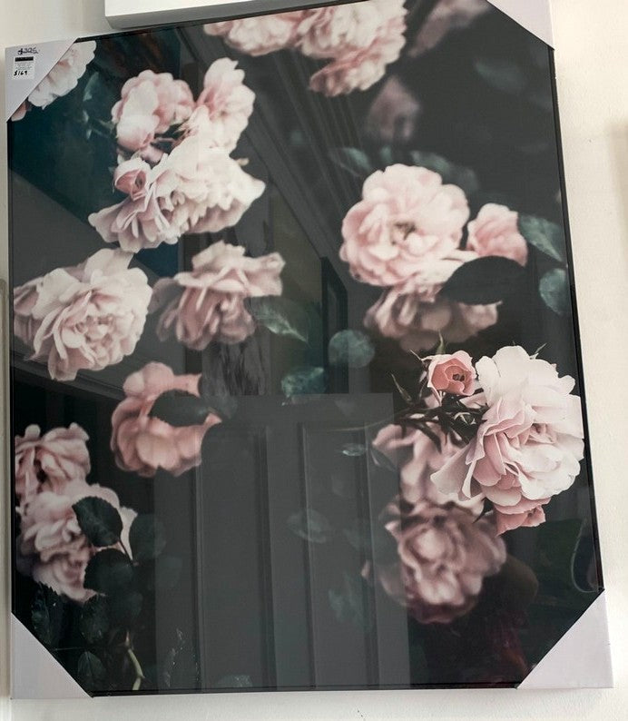 Pink Peony Roses