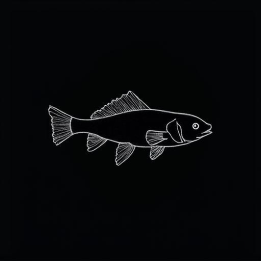 Rainbow Shark