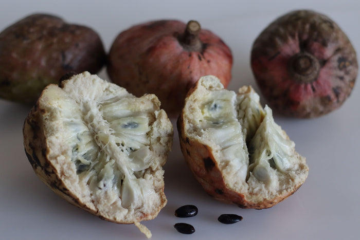 Annona reticulata fruit showing white flesh and black seeds