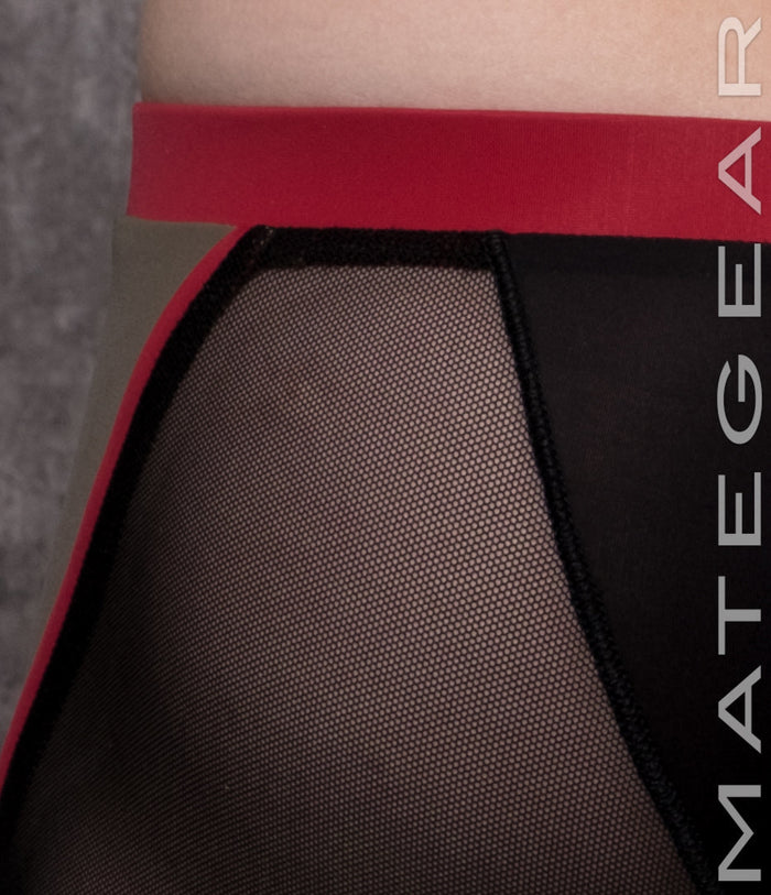 Sexy Mens Swimwear Mini Tights - Ryu Sook Iii (X-Tra Low Flat Front)