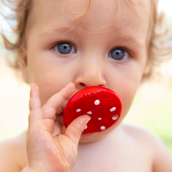 Spotty the Mushroom Teether