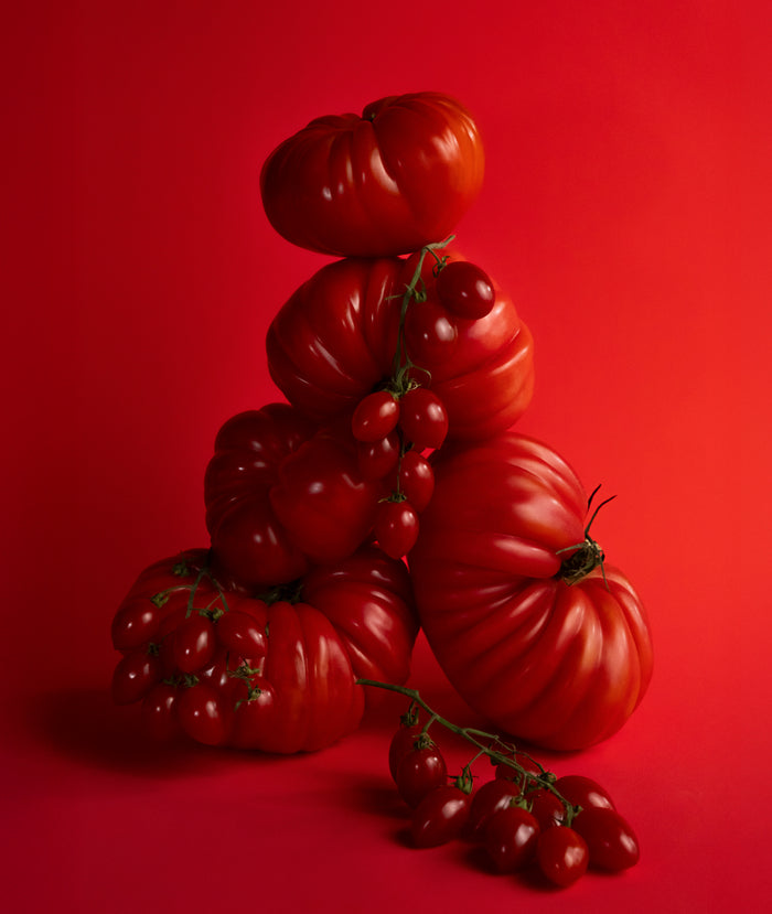 Tomate Bébé Candle