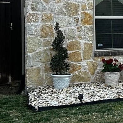 Corkscrew topiary, Helical topiary, spiral topiary tree, potted spiral topiary 3gl