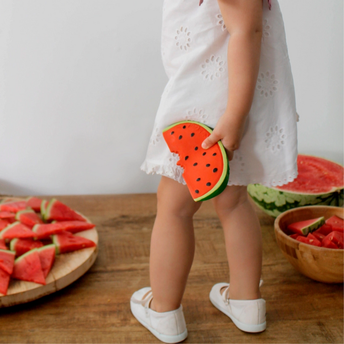 Wally the Watermelon Teether