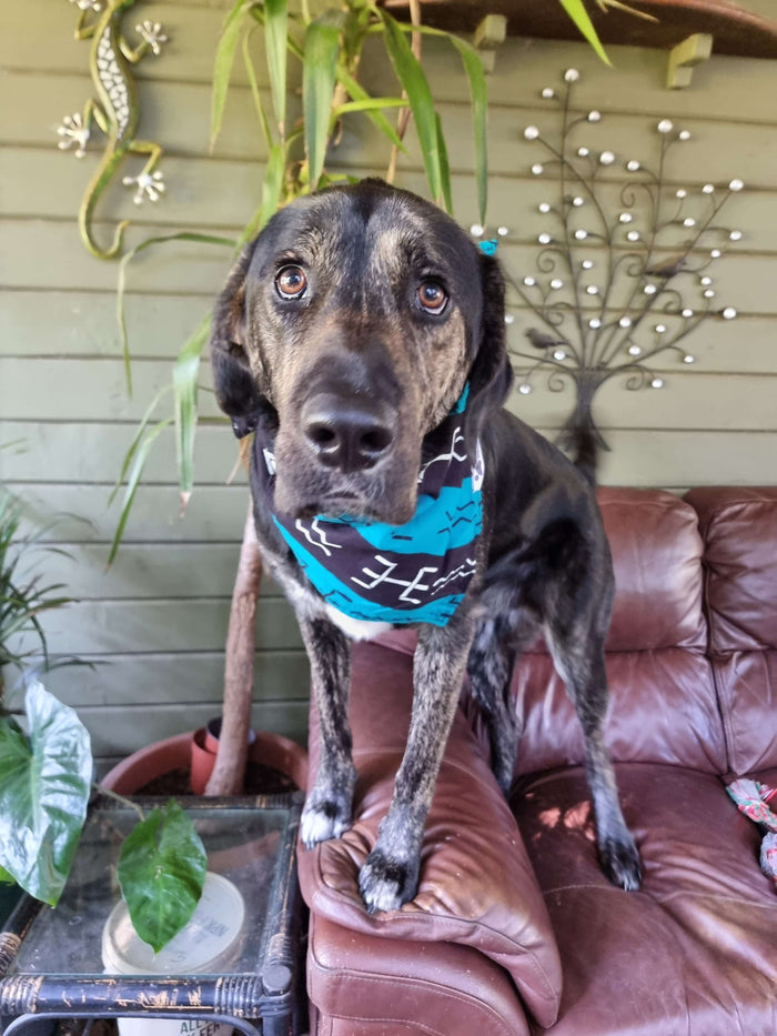 African Dog Bandana